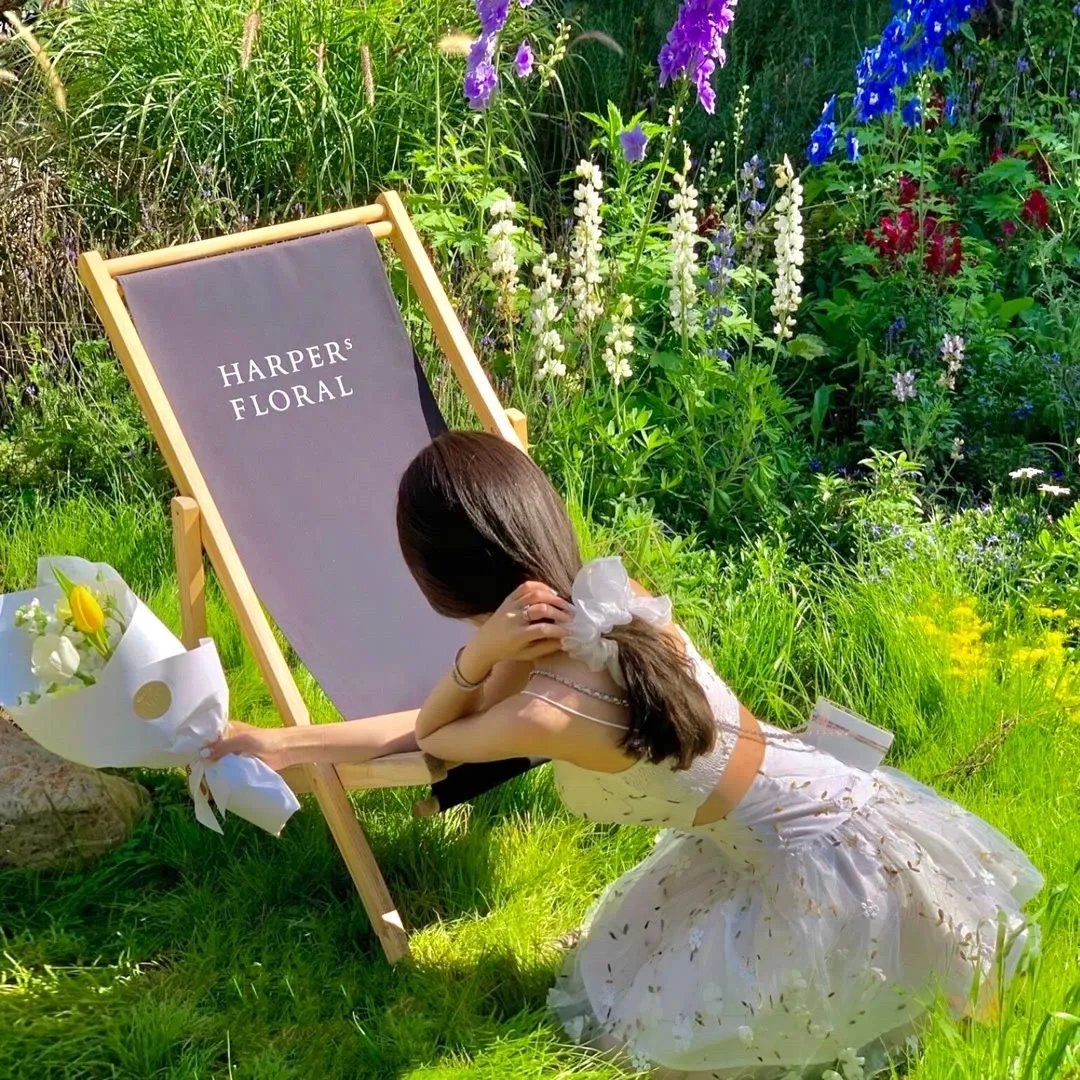 变形金刚：超能勇士第三季